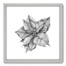 Quadro Decorativo - Flor - 50cm x 50cm - 019qnfcb - 1