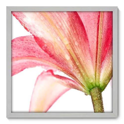 Quadro Decorativo - Flor - 50cm x 50cm - 013qnfcb - 1