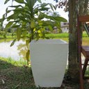 Ver mais imagens de Kit 4 Vaso Planta 45x35 Moderno Trapézio Polietileno BGPLASTICOS VINHO BORDO 021