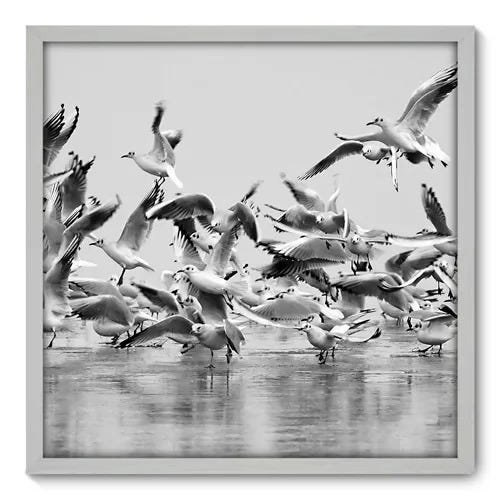 Quadro Decorativo - Pássaros - 70cm x 70cm - 004qnsdb - 1