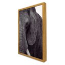 Ver imagem 5 de Quadro Decorativo a Face do Elefante em Moldura Caixa Tacolado Moldura Trad 1cm Madeira Escura com V