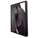 Ver imagem 3 de Quadro Decorativo a Face do Elefante em Moldura Caixa Tacolado Moldura Trad 1cm Madeira Escura com V