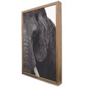Ver imagem 4 de Quadro Decorativo a Face do Elefante em Moldura Caixa Tacolado Moldura Trad 1cm Madeira Escura com V