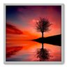 Quadro Decorativo - Árvore - 70cm x 70cm - 019qnpdb - 1