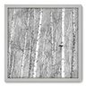 Quadro Decorativo - Árvores - 50cm x 50cm - 045qnpcb - 1