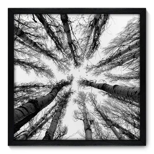 Quadro Decorativo - Árvores - 50cm x 50cm - 056qnpcp - 1