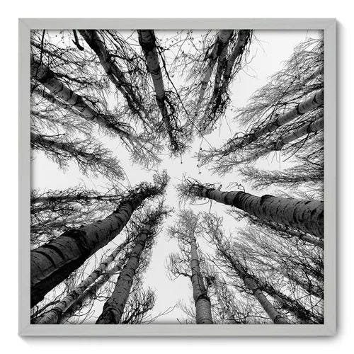 Quadro Decorativo - Árvores - 70cm x 70cm - 056qnpdb - 1