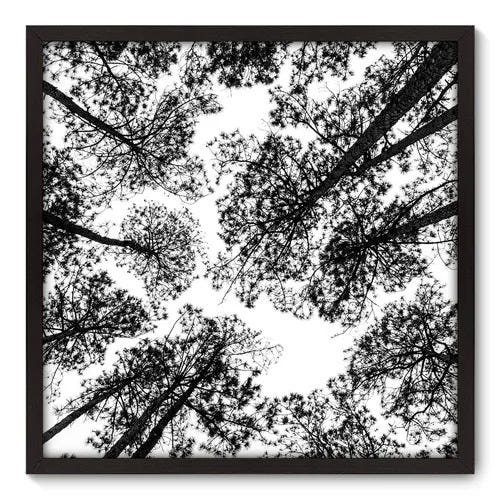 Quadro Decorativo - Árvores - 70cm x 70cm - 041qnpdp - 1