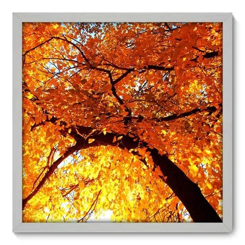 Quadro Decorativo - Árvore - 50cm x 50cm - 052qnpcb - 1