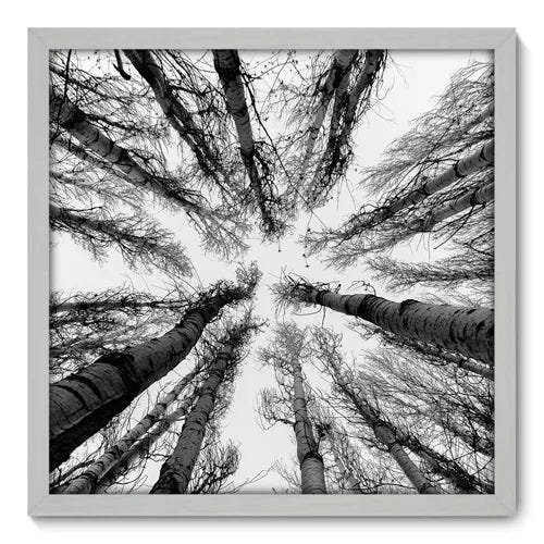 Quadro Decorativo - Árvores - 50cm x 50cm - 056qnpcb - 1