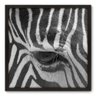 Quadro Decorativo - Zebra - 70cm x 70cm - 003qnsdp - 1