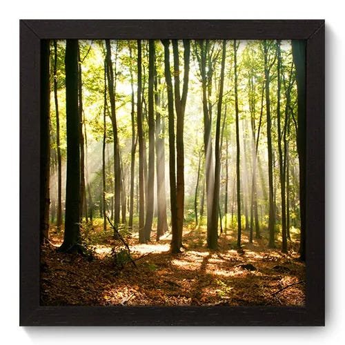 Quadro Decorativo - Floresta - 22cm x 22cm - 074qnpap - 1