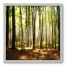 Quadro Decorativo - Floresta - 50cm x 50cm - 074qnpcb - 1