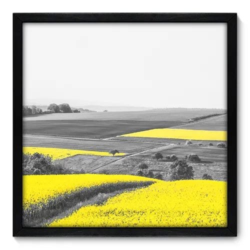 Quadro Decorativo - Campo - 50cm x 50cm - 071qnpcp - 1