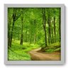 Quadro Decorativo - Floresta - 33cm x 33cm - 139qnpbb - 1