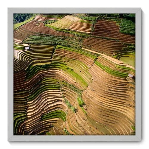 Quadro Decorativo - Plantação - 50cm x 50cm - 134qnpcb - 1