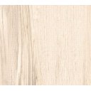 Ver imagem 1 de Porcelanato Gaudi 61x61 Ecotech Marfim Acetinado