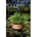 Ver imagem 2 de Vaso Nutricoco Completo 03 Natural