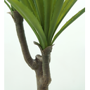 Ver imagem 3 de Suculenta Planta Agave Folhagem Real Grande 100cm Premium
