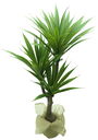 Ver imagem 1 de Suculenta Planta Agave Folhagem Real Grande 100cm Premium