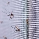 Ver imagem 5 de Tela Mosquiteira Janela Velcro Ajustável Anti Inseto 125x155