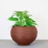 Vaso Bromélia 36 X 37 Cm Vasart - Antique Rusty - 2