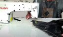 Ver imagem 2 de Reta Industrial Siruba para Tecer Cabelos- 220v