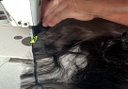 Ver imagem 6 de Reta Industrial Siruba para Tecer Cabelos- 220v