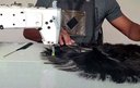 Ver imagem 3 de Reta Industrial Siruba para Tecer Cabelos- 220v