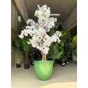 Ver imagem 5 de Vaso Decorativo para Plantas Grandes Auto Brilho para Sala (liso/verde-musgo)