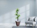 Ver imagem 2 de Planta Artificial Árvore Yucca 1,60m Kit + Vaso Trapézio D. Grafiato Marrom 40cm