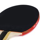 Ver imagem 5 de Raquete de Tênis de Mesa DHS H1002 (Clássica)