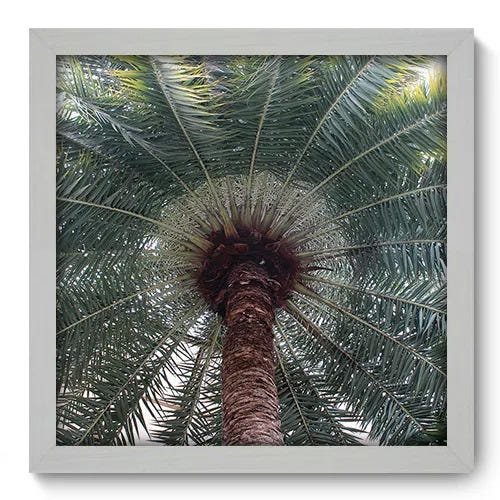 Quadro Decorativo - Coqueiro - 274qddb - 1