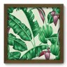 Quadro Decorativo - Bananeira - 395qddm - 1