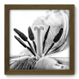 Quadro Decorativo - Flor - 099qdfm - 1
