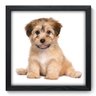 Quadro Decorativo - Cachorro - 186qdsp - 1