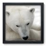 Quadro Decorativo - Urso Polar - 015qdsp - 1