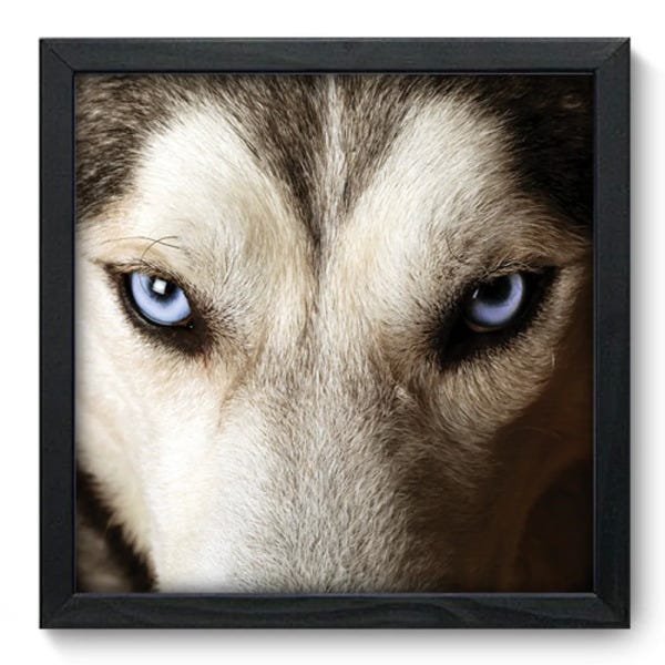Quadro Decorativo - Lobo - 011qdsp - 1