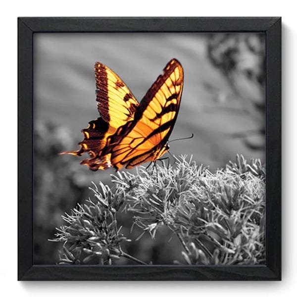 Quadro Decorativo - Borboleta - 117qdsp - 1