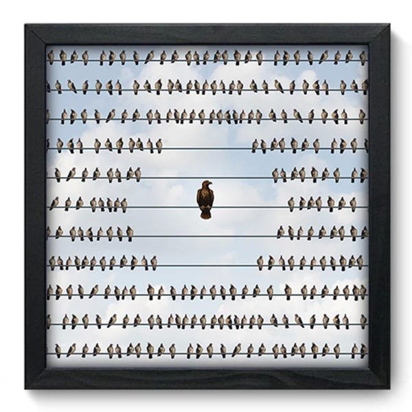 Quadro Decorativo - Aves - 205qdsp - 1