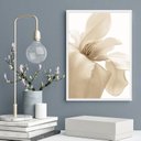 Ver imagem 2 de Quadro Decorativo Flor Bege Fundo Branco 45x34cm - com Vidro:madeira Branca