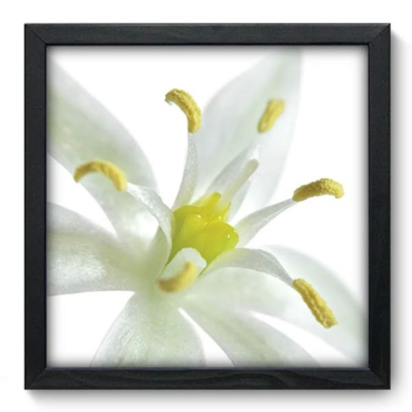Quadro Decorativo - Flor - 063qdfp - 1