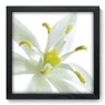 Quadro Decorativo - Flor - 063qdfp - 1