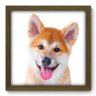 Quadro Decorativo - Cachorro - 188qdsm - 1
