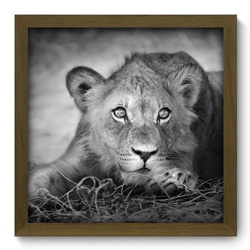 Quadro Decorativo - Leãozinho - 014qdsm - 1