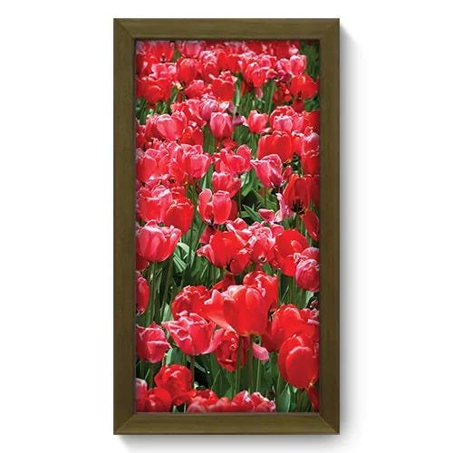 Quadro Decorativo - Tulipas - 054qdfm - 1