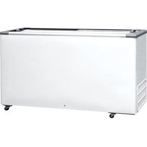 Freezer Horizontal Hced-503 2v Porta de Vidro Dupla Ação 2 Portas Fricon 220v