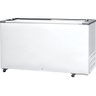 Freezer Horizontal Hced-503 2v Porta de Vidro Dupla Ação 2 Portas Fricon 220v - 1