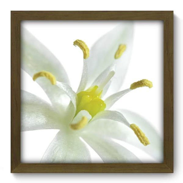 Quadro Decorativo - Flor - 063qdfm - 1