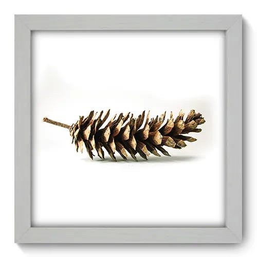 Quadro Decorativo - Pinha - 045qddb - 1